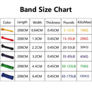 Faixa Elástica de Alta Resistência – Bandas de Látex para Treino de Força, Pilates, Pull Up Assist e Home Gym